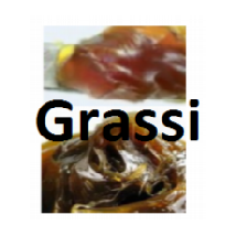 GRASSI